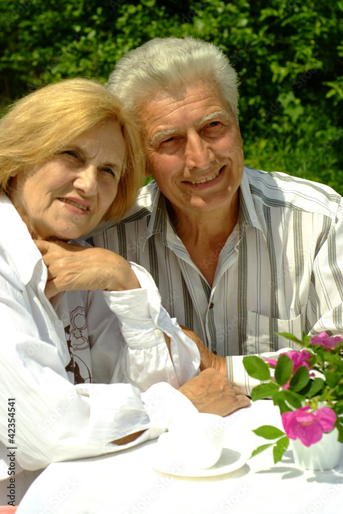 Good Caucasian elderly couple Good Caucasian elderly couple