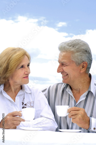 Happy Caucasian elderly couple