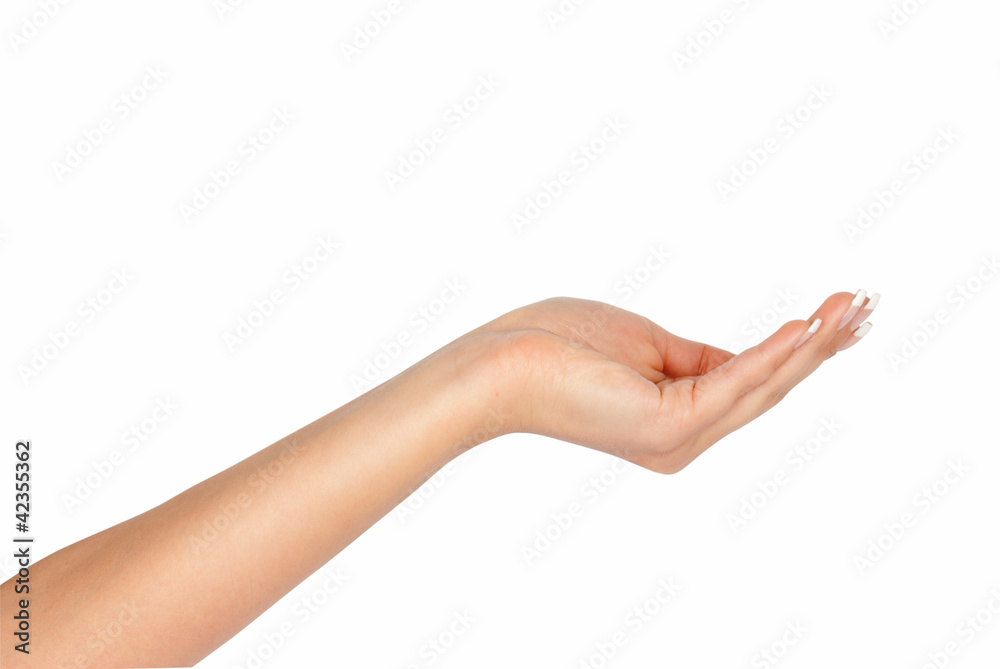 Empty hand isolated on white background Empty hand isolated on white background
