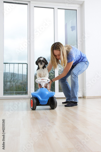 Hund hinter dem Lenkrad photo