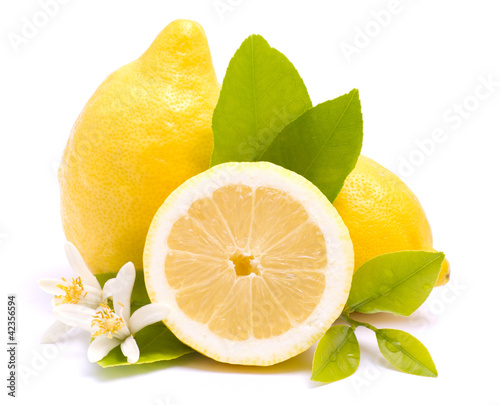 Zitronen photo