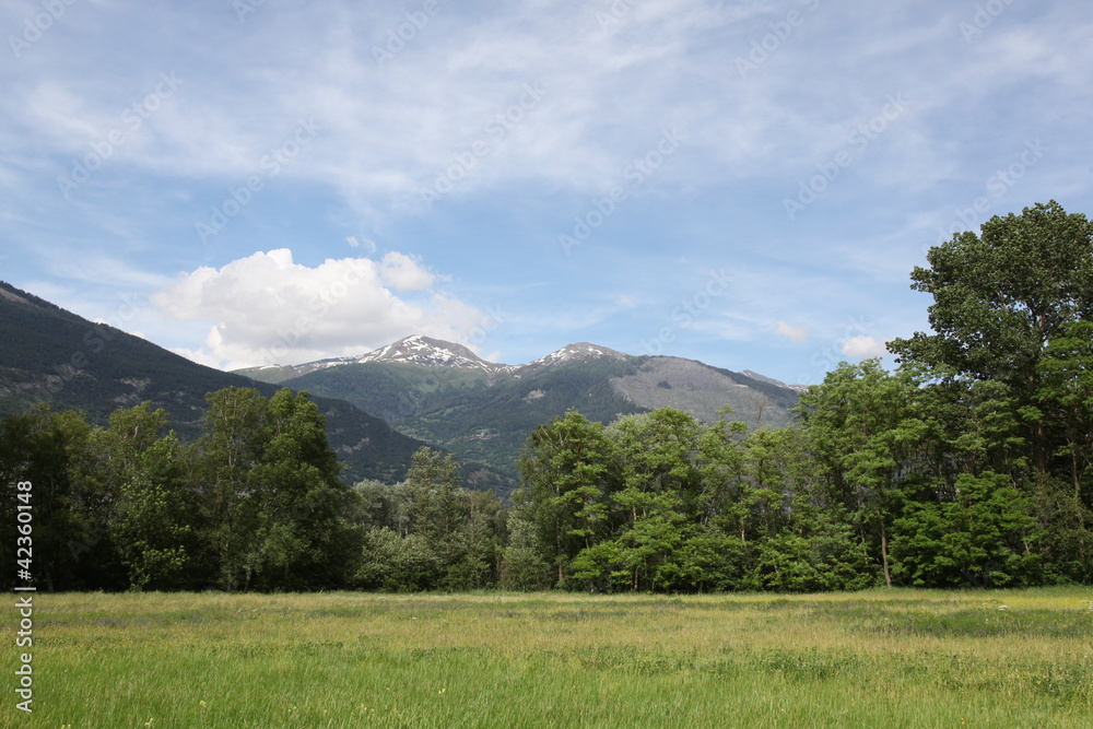 Obraz premium Promenade dans la nature.