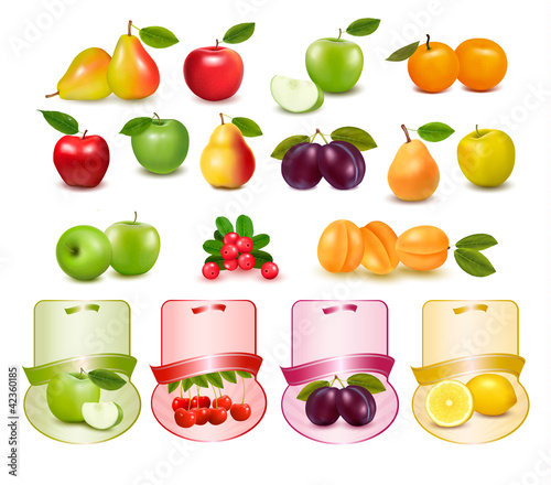 Group with different sorts of fruit and labels. Vector.