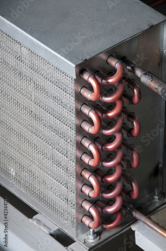 Inside industrial refrigirator