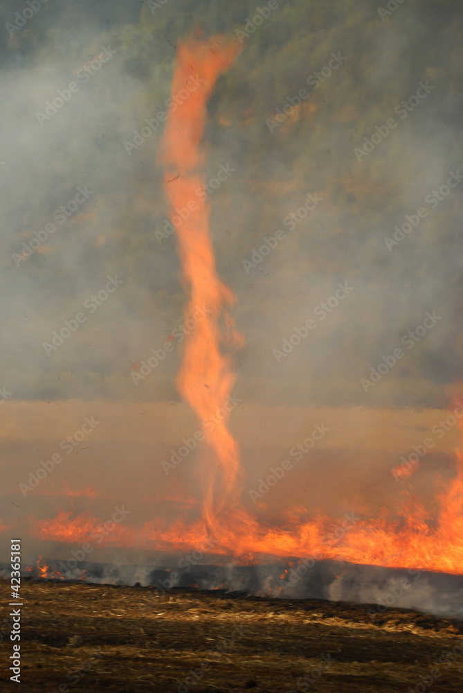 Obraz premium Grass Fire