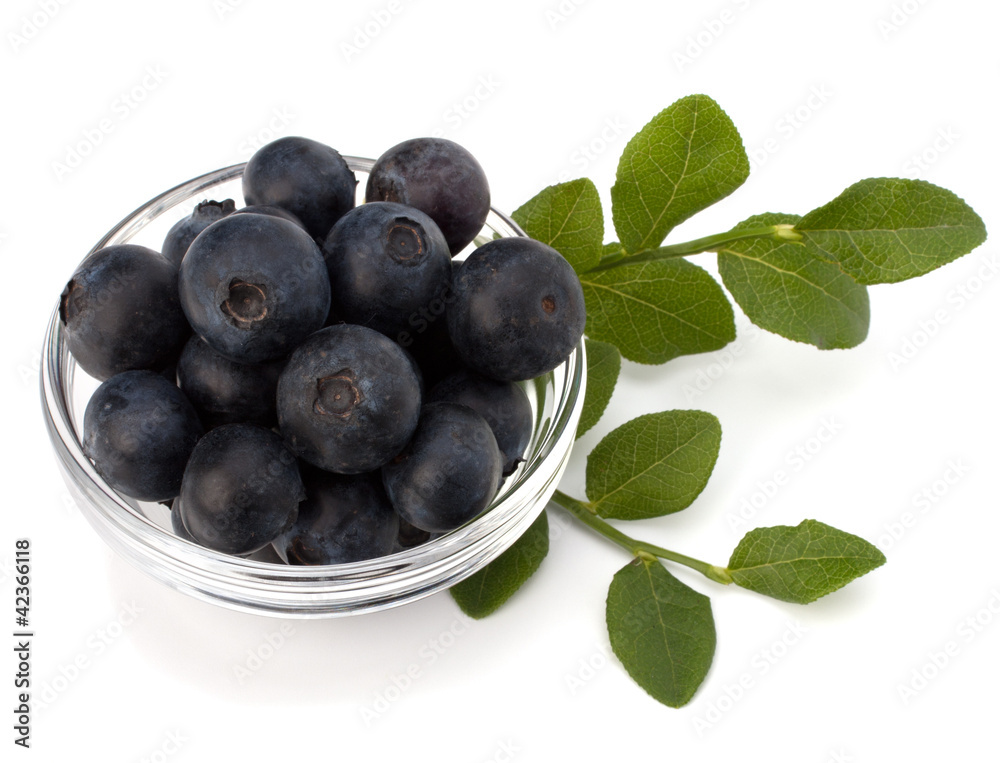 Blue bilberry or whortleberry Blue bilberry or whortleberry