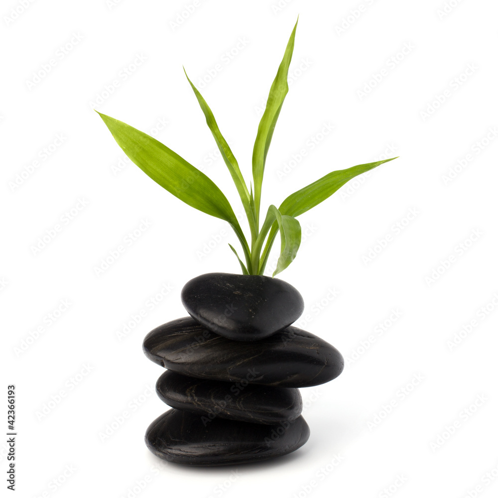 Zen pebbles balance. Spa and healthcare concept. Zen pebbles balance. Spa and healthcare concept.