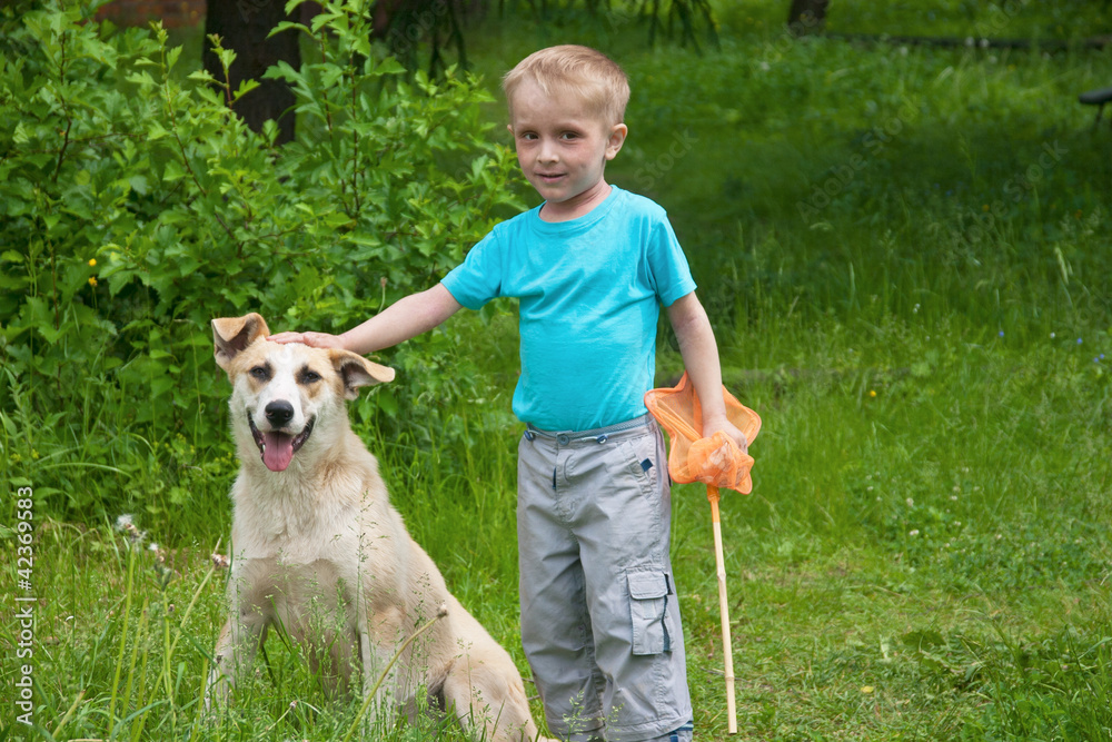 Boy playing with dog in the forest Boy playing with dog in the forest
