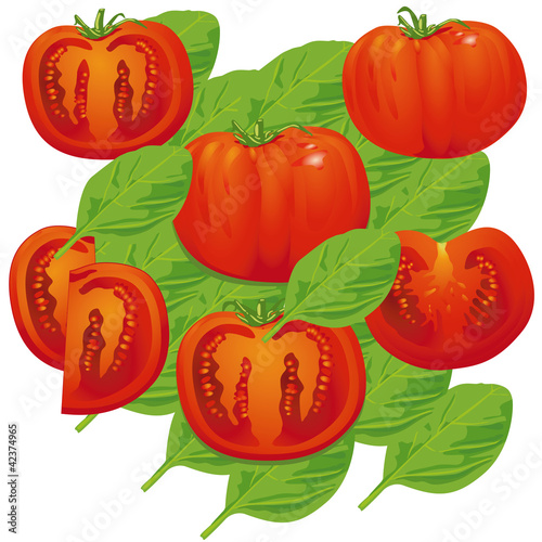 Tomaten  Basilikum