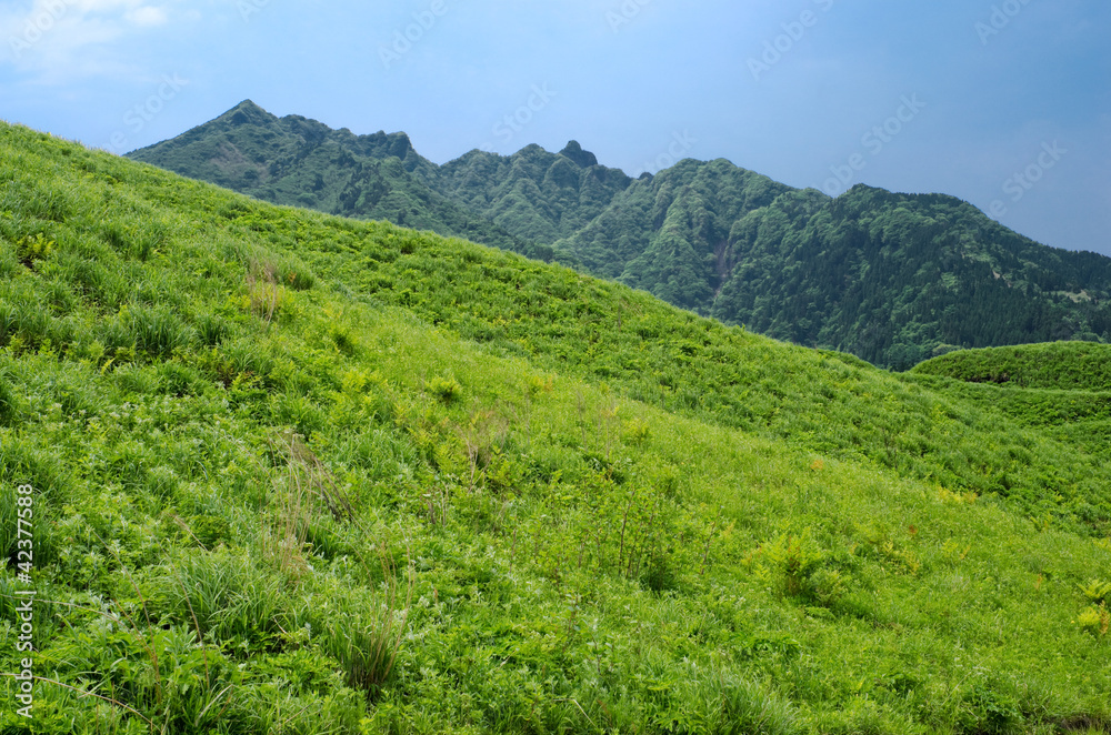 緑の丘と阿蘇の根子岳
