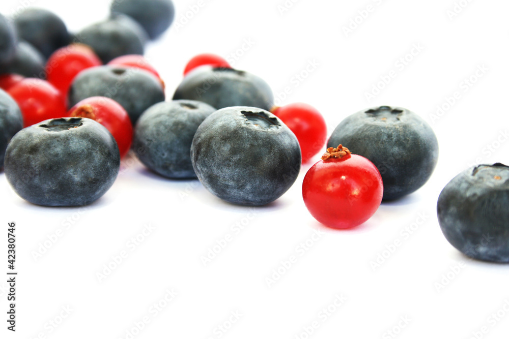 Berries Berries