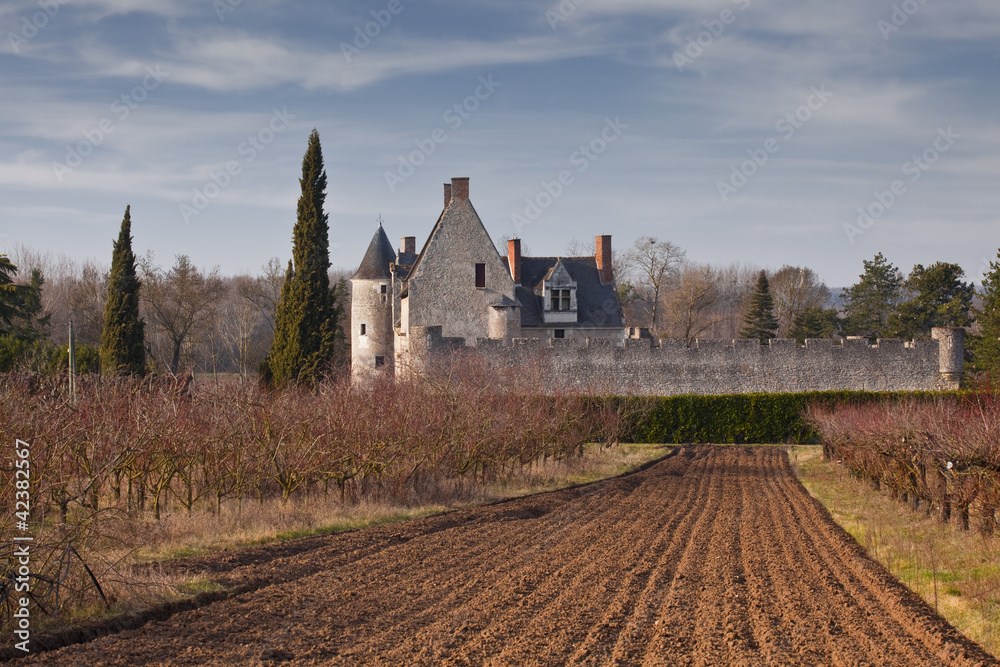 Fototapeta premium The private chateau of Fontenany