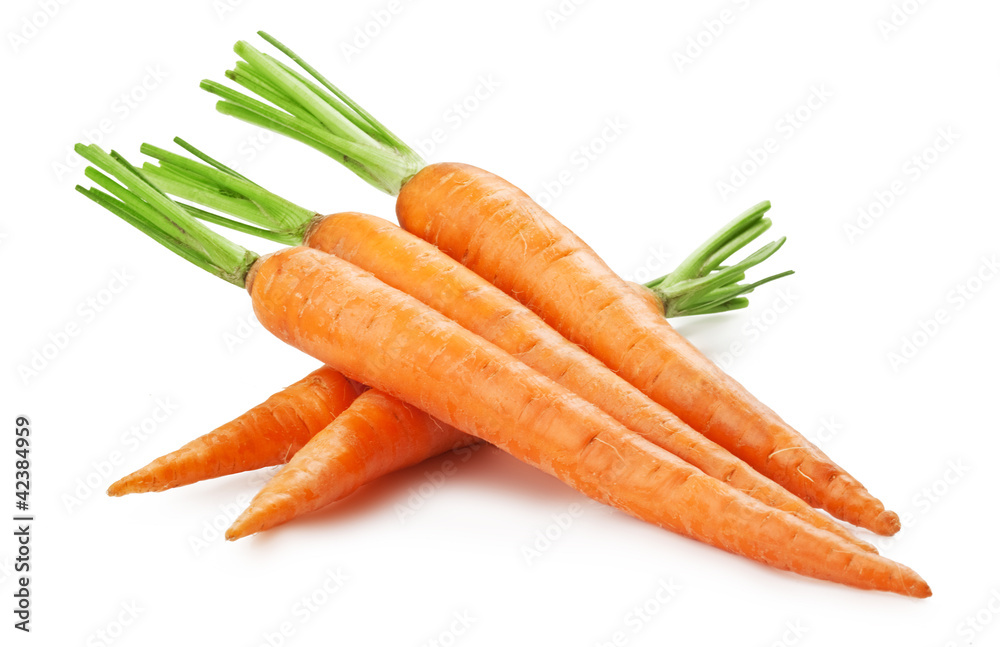 fresh carrots fresh carrots