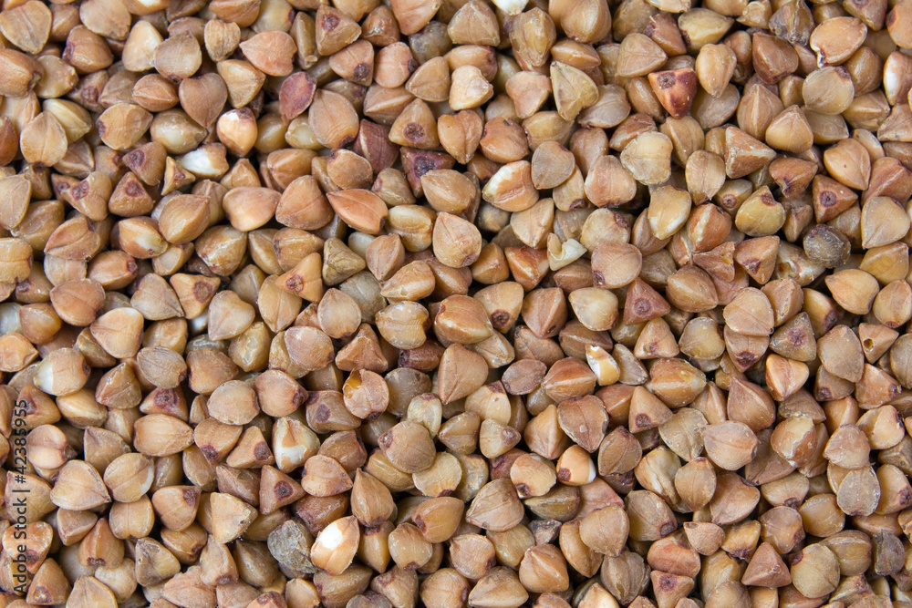 Buckwheat Buckwheat