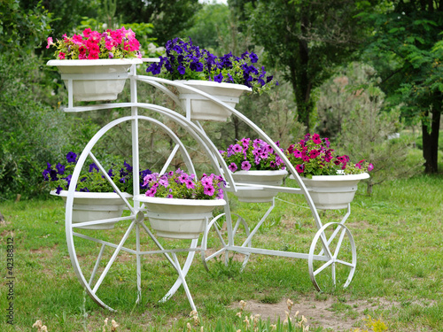 Fototapeta Flowers in pots on flowerbed in garden