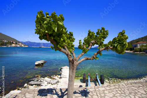 grèce; ioniennes, kefalonia : port de Agia Efimia photo