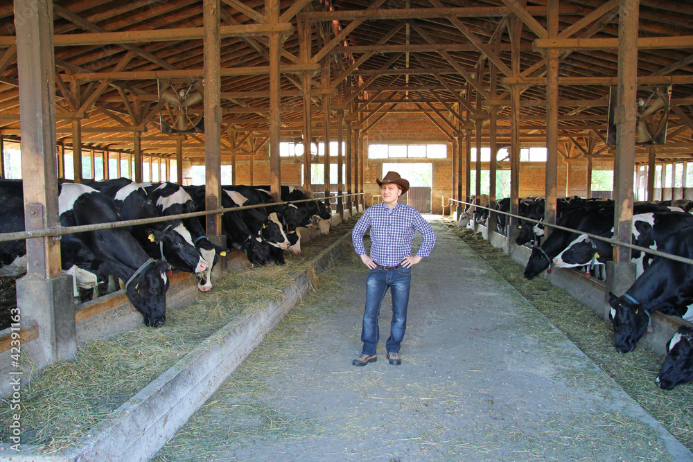 Farmer and Cows on Farm Farmer and Cows on Farm