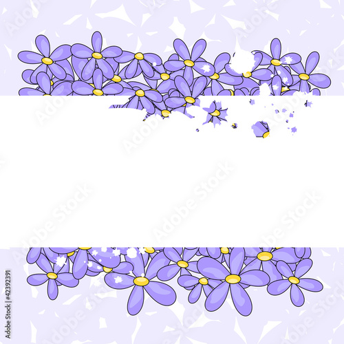 floral background - flowers invitation - fiori lilla -