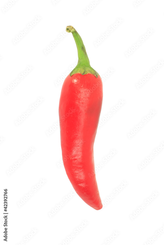 red hot chili pepper isolated on white background red hot chili pepper isolated on white background
