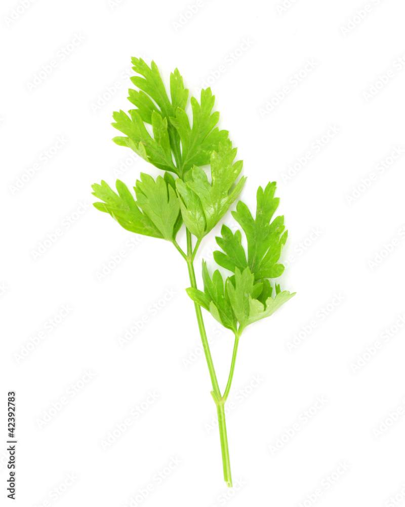 sprig of parsley sprig of parsley