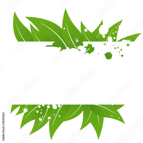 leaf background - sfondo con foglie - place your text