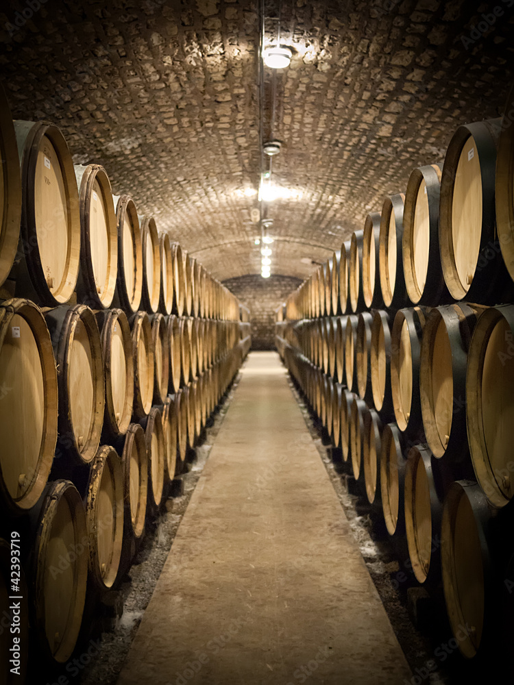 Fototapeta Beczki w piwnicy na wino