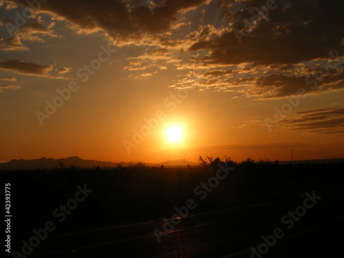 Arizona Sunset