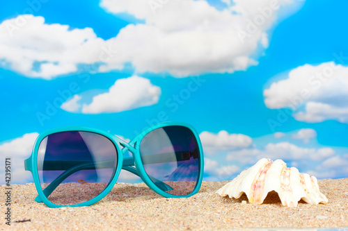 Elegant women's sunglasses with shell at the beach