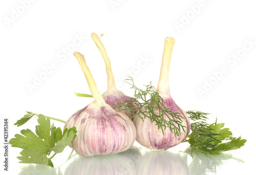 young garlic with parsley and dill isolated on white background