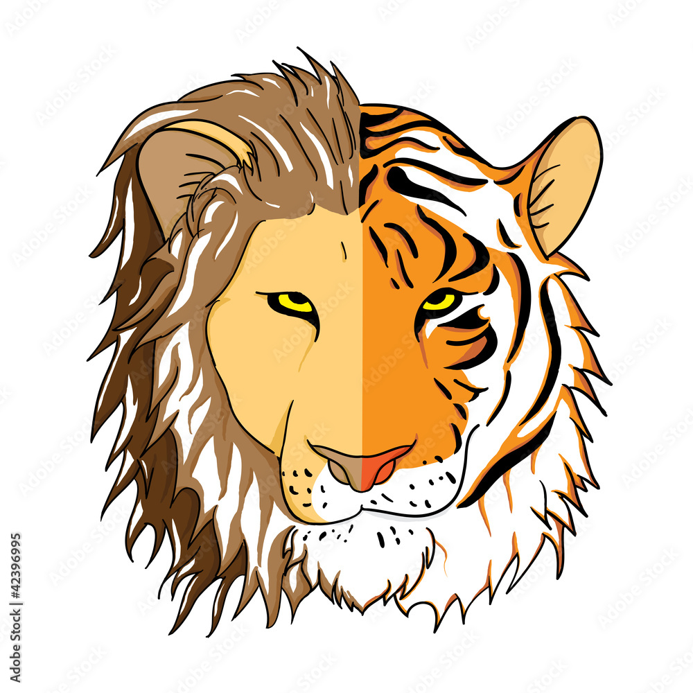 Fototapeta premium Half Lion Half Tiger Face Combined