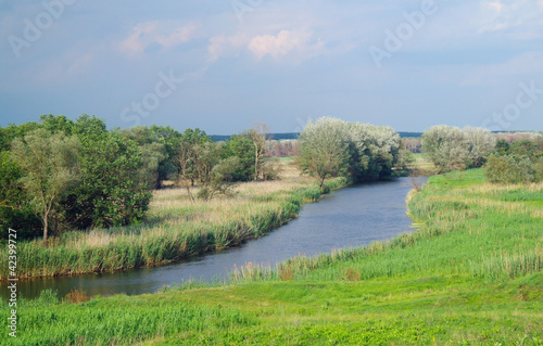 Lake, land with trees and meadow