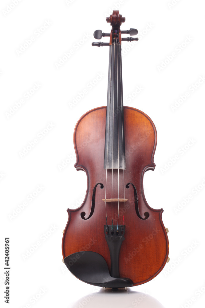 Obraz premium ViolinGeige