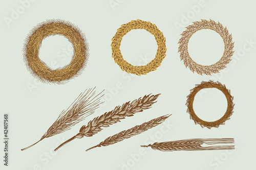Four Harvest Wreaths Illustration