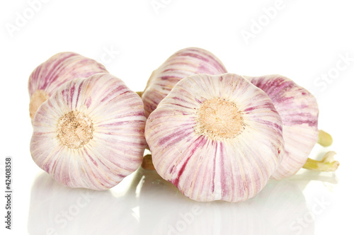 young garlic isolated on white background