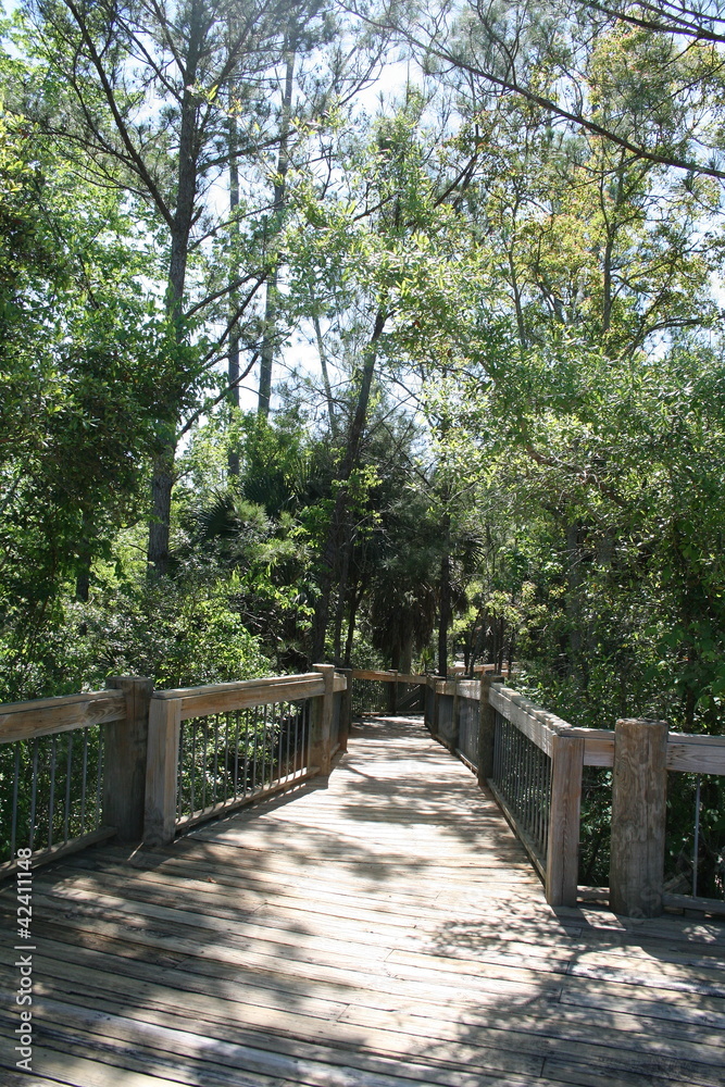 Bridge to the swamp. Mount Pleasant Palmetto Islands County Park Bridge to the swamp. Mount Pleasant Palmetto Islands County Park