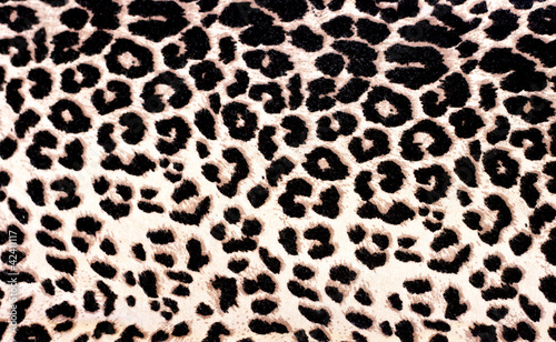 Leopard Print
