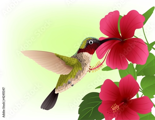 Hummingbird with red flower