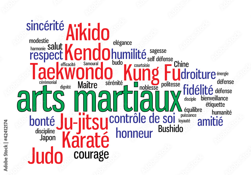 Fototapeta premium WEB ART DESIGN TAG CLOUD NUAGE ARTS MARTIAUX 020