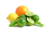 Arrangement mit Zitrusfrüchten, citrus fruits