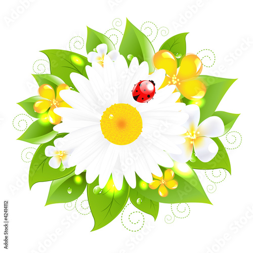 Fototapeta Naklejka Na Ścianę i Meble -  Flowers For Design