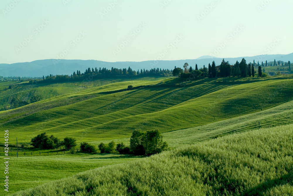 Beautiful Meadow in Toscana, Italy