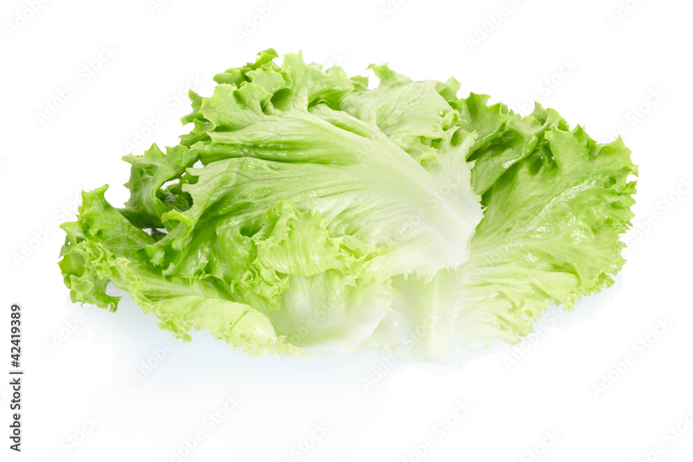 Fresh salad leaves on white, clipping path included Fresh salad leaves on white, clipping path included