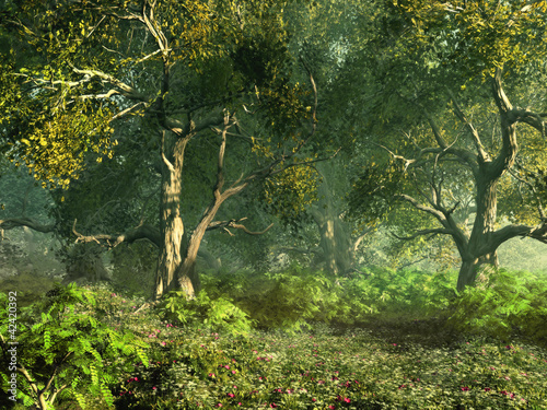 Fototapeta Naklejka Na Ścianę i Meble -  Wooded Meadow