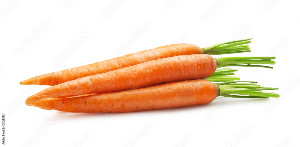 fresh carrots fresh carrots