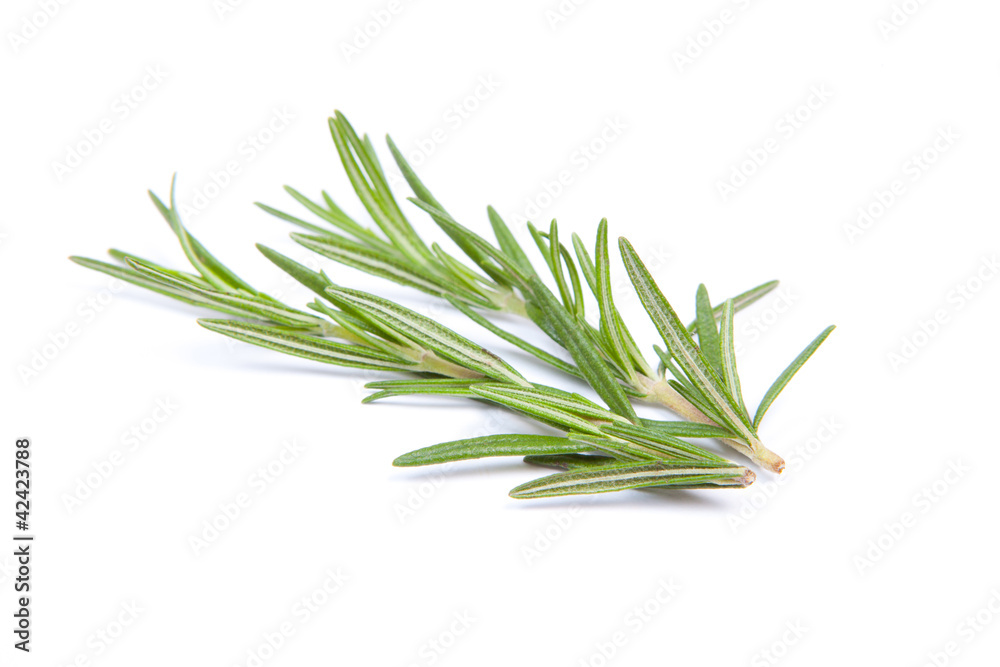 Rosemary