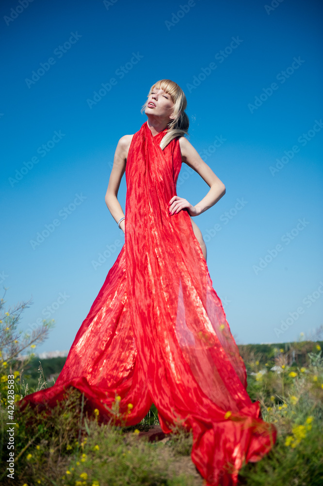Fototapeta premium Scarlet gown