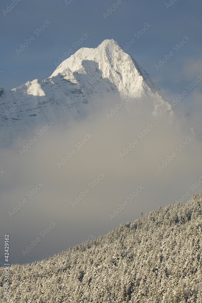 Berglandschaft im Winter
