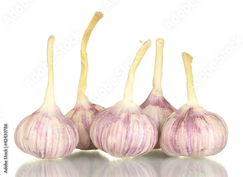 young garlic isolated on white background