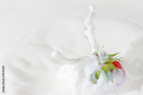 Fresh strawberry falling into the milk with a splash closeup