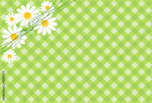 background with daisies